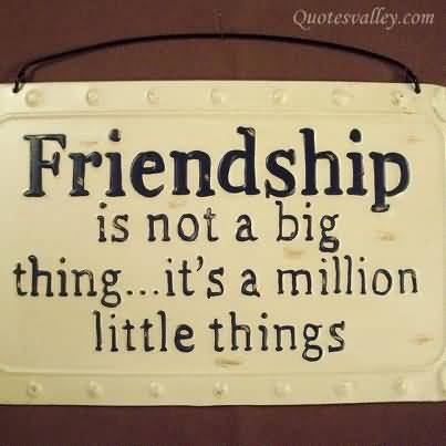 friendship-is-not-a-big-thing